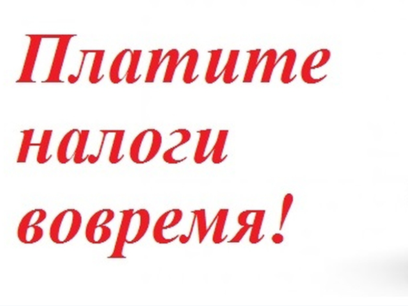 Своевременная уплата налогов.